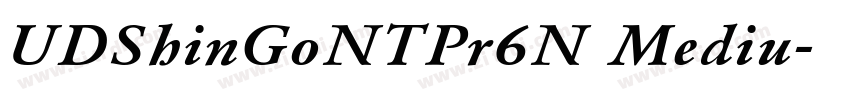 UDShinGoNTPr6N Mediu字体转换
